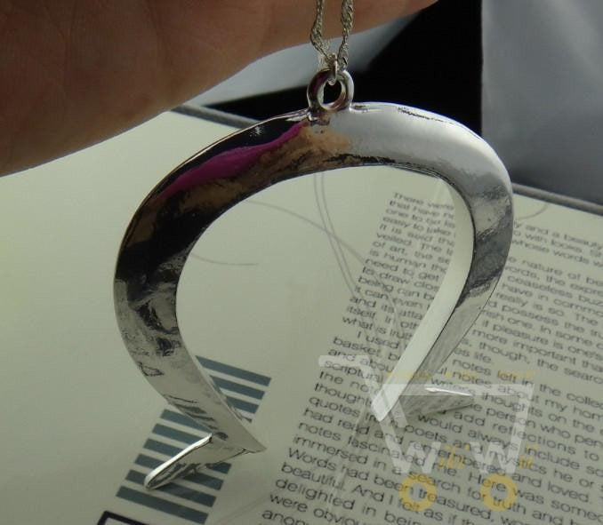 Horseshoe Necklace - WikiWii