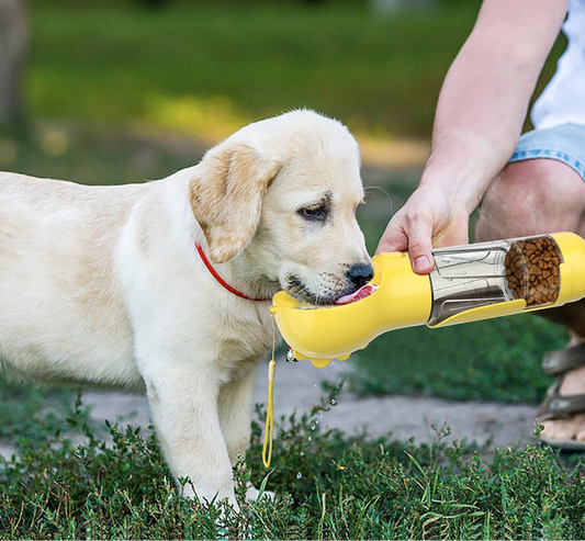 Multi-Purpose Dog Water Bottle