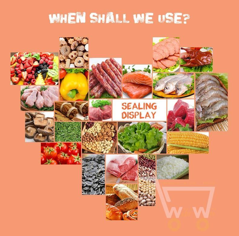 Food Vacuum Sealer - WikiWii