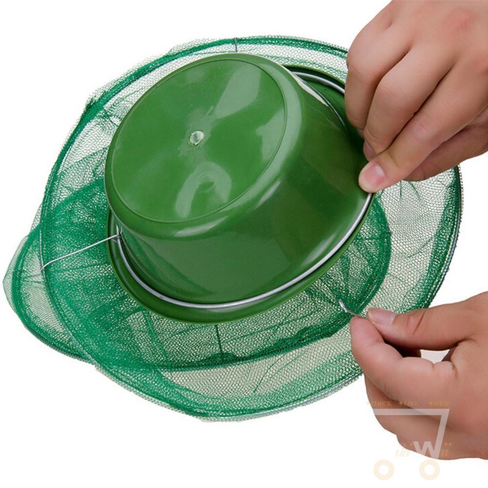 Hanging Flytrap - WikiWii