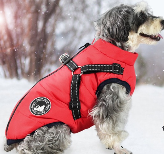 Waterproof Winter Dog Jacket with Built-in Harness