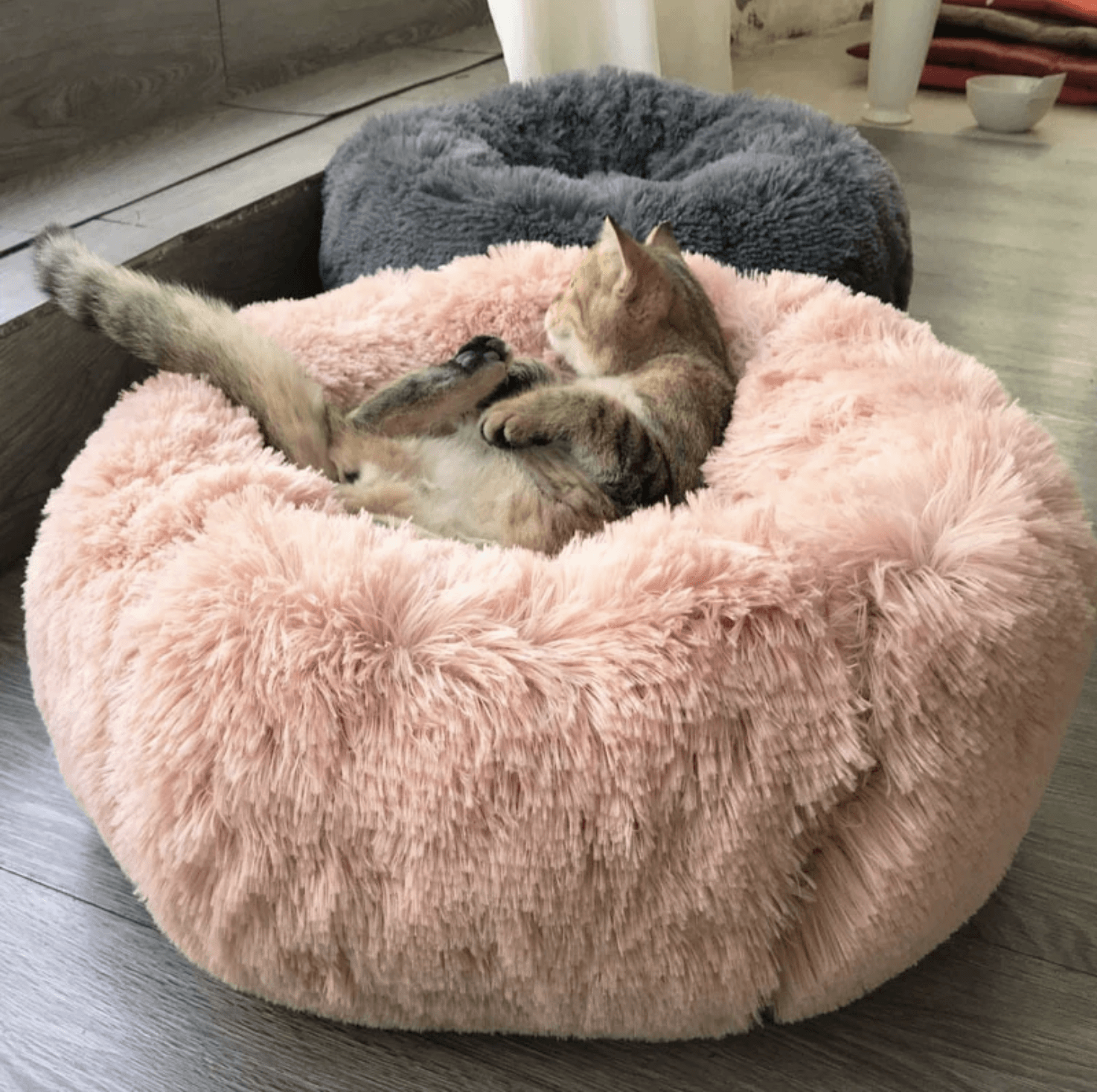 Dog/Cat Comfy Bed - WikiWii