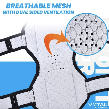 KNEE SUPPORT PADS - WikiWii