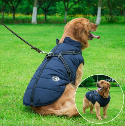 Waterproof Winter Dog Jacket with Built-in Harness