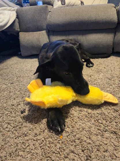 Duck Dog Toy