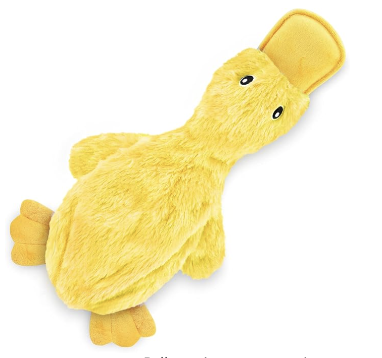 Duck Dog Toy