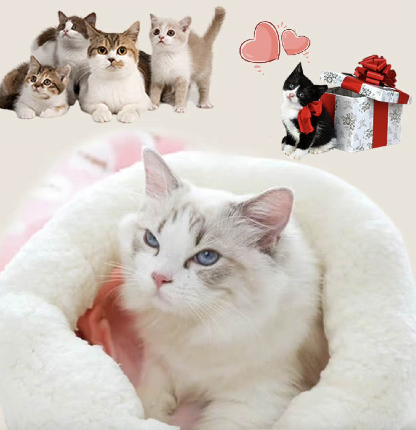 🔥Last Day Sale Price - 🐾Cozy Pet Nest for Small Cats and Dogs