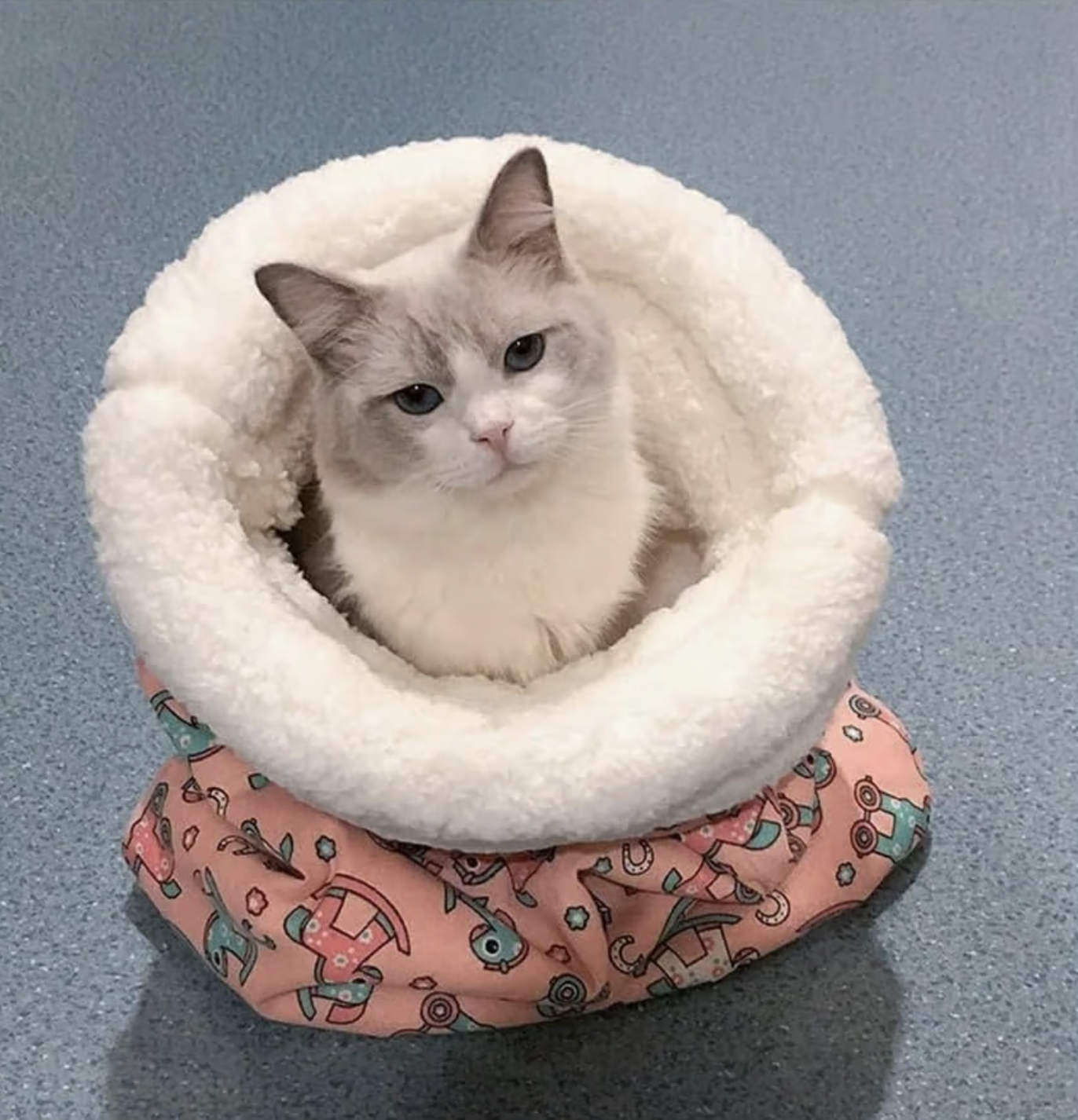 🔥Last Day Sale Price - 🐾Cozy Pet Nest for Small Cats and Dogs