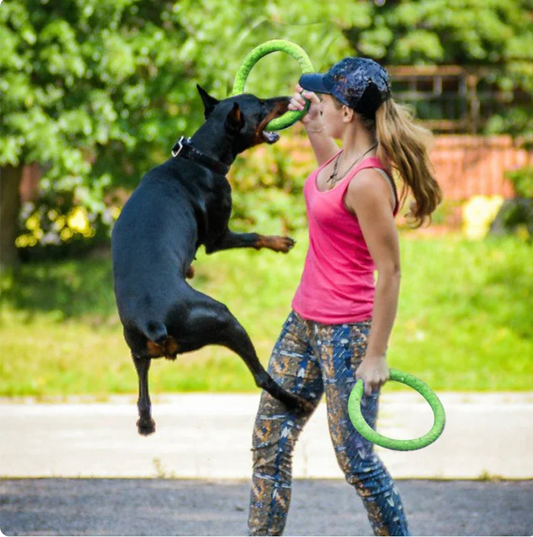 Dog Training Ring