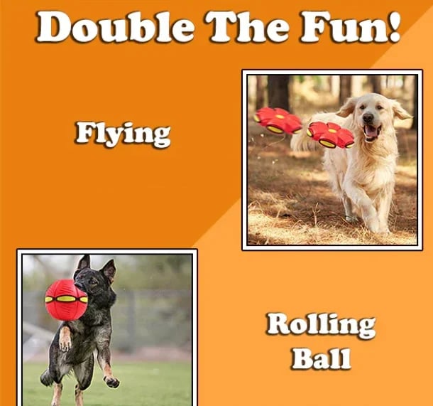 The Doggy Disc Ball .