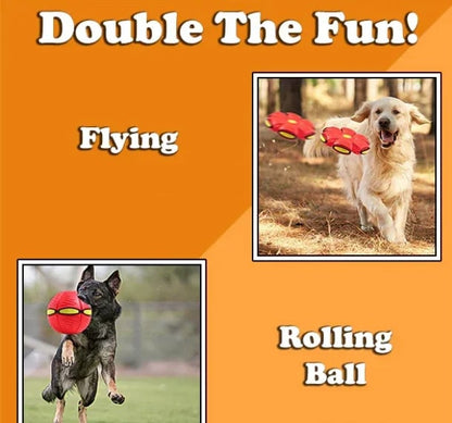 The Doggy Disc Ball .