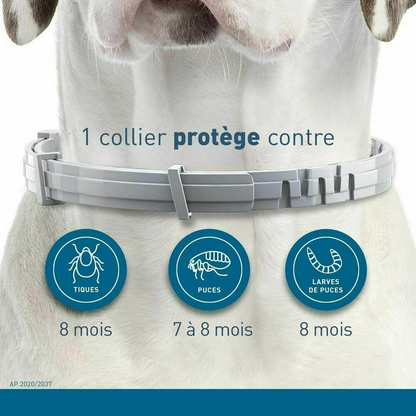 Anti Flea and Tick Collar