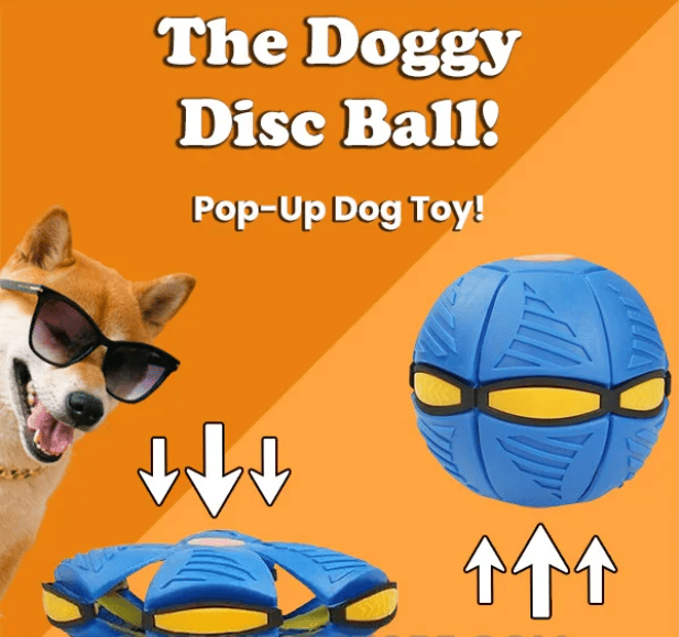 The Doggy Disc Ball .