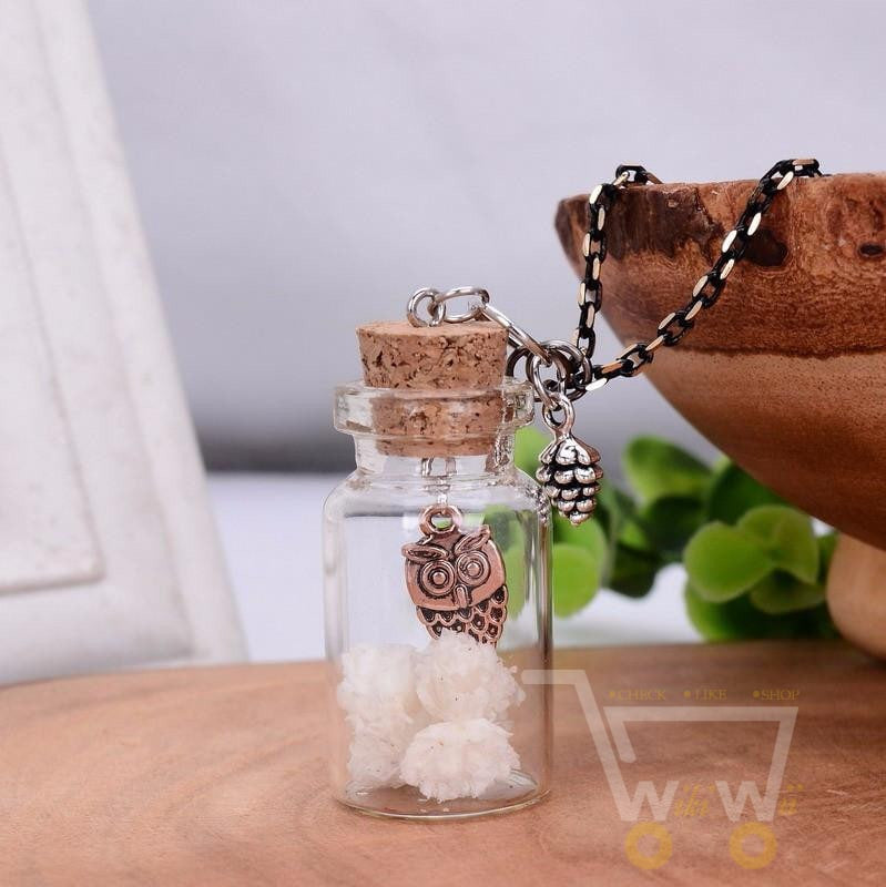 Handmade Owl Jar Necklace - WikiWii