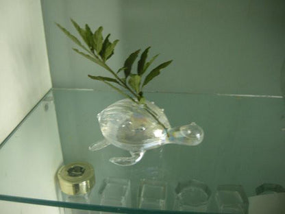 handmade sea turtle vase - WikiWii