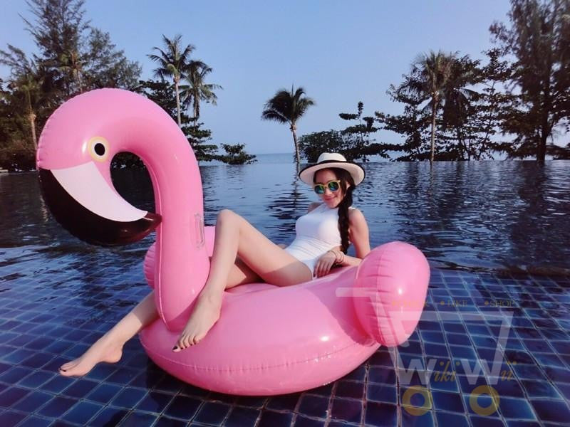 High Quality Inflatable Flamingo-Swan-Unicorn- Pool Float - WikiWii