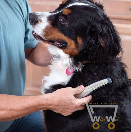 Electric Pet Dog- Cat Grooming - WikiWii