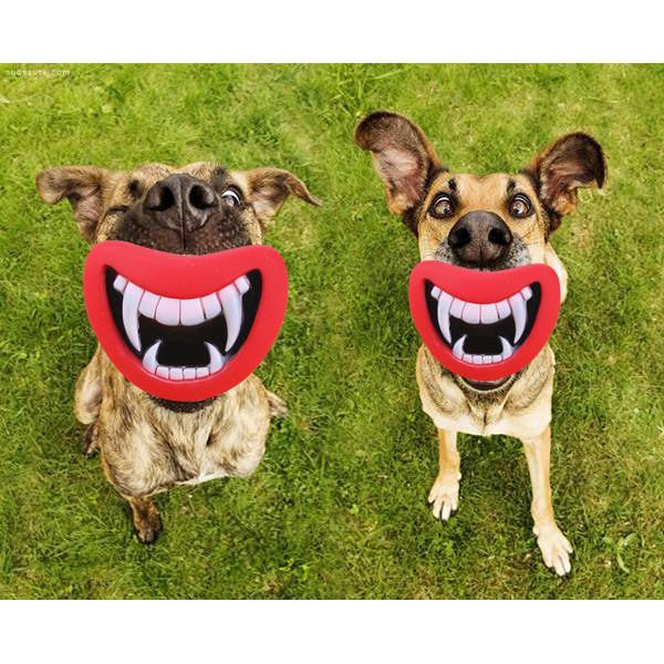 Safe Funny Squeak Dog Toys - WikiWii