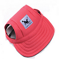 Summer Dog Hat - WikiWii