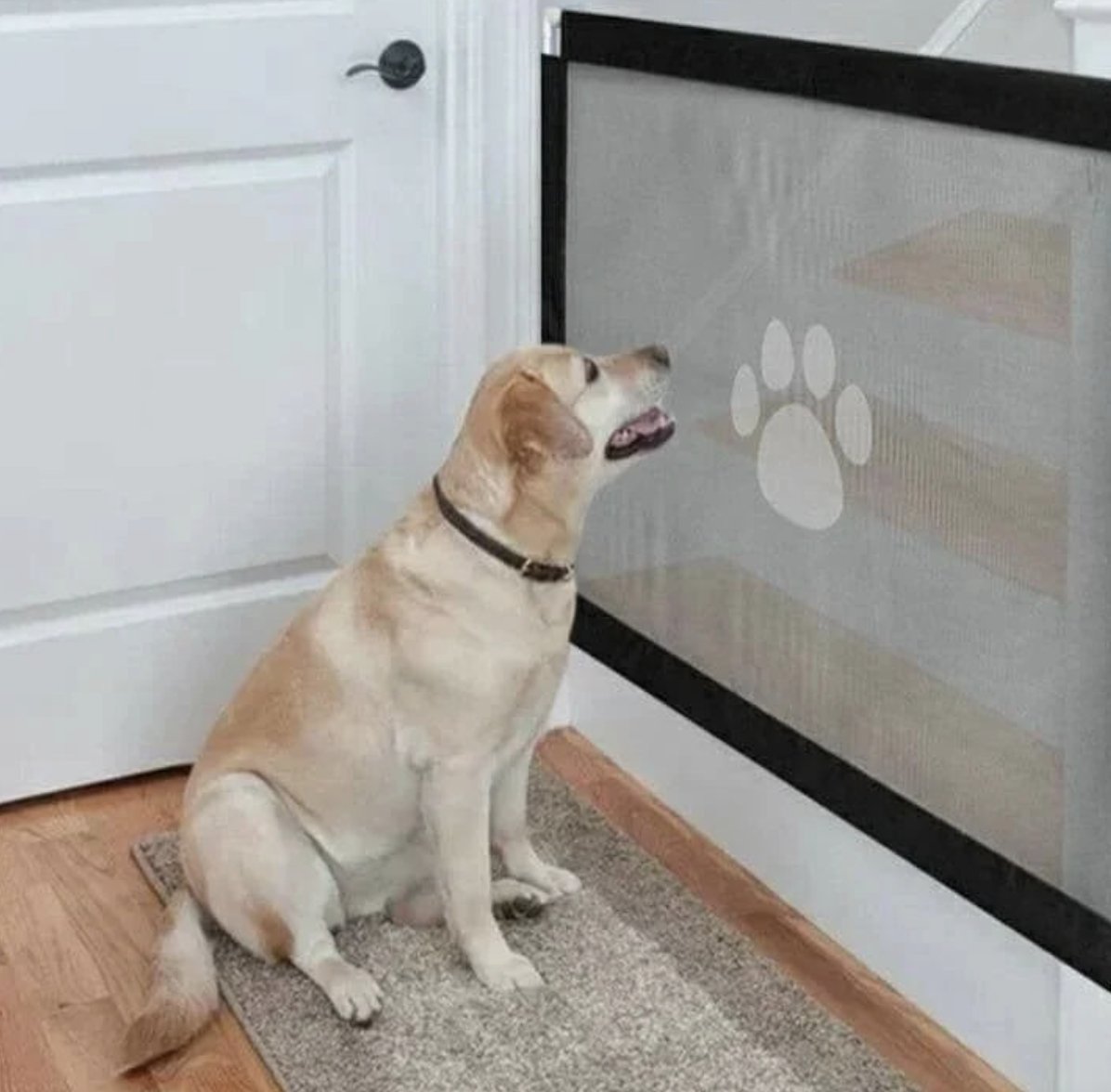 Portable Pets Safety Door Guard - YOYOWIZZ